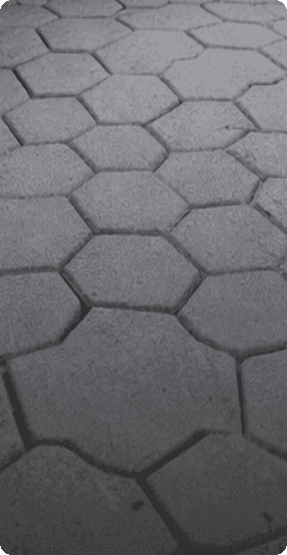 No alternative text provided