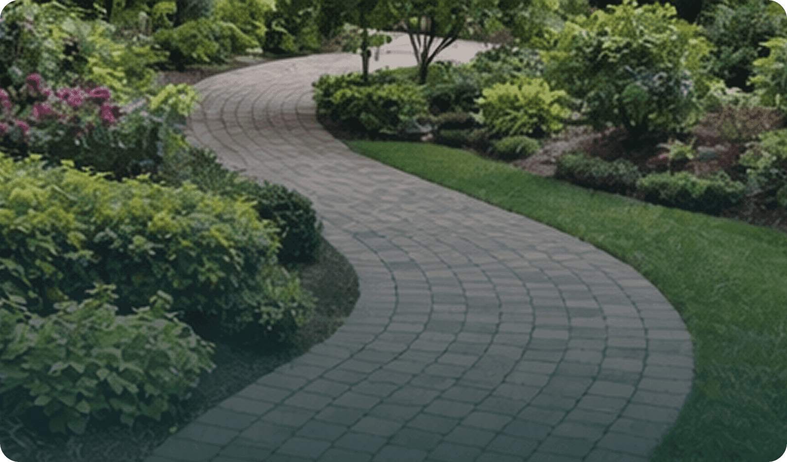 No alternative text provided