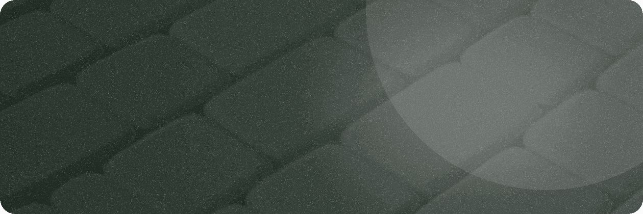 No alternative text provided