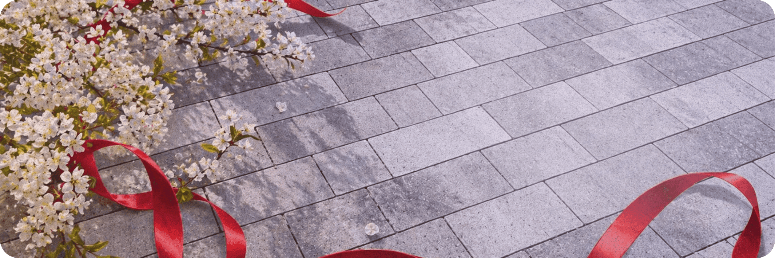 No alternative text provided